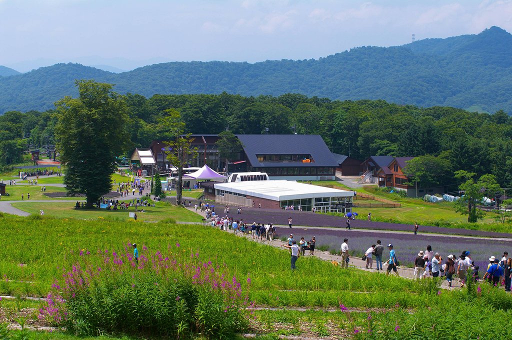 高原に咲くしあわせ・・・