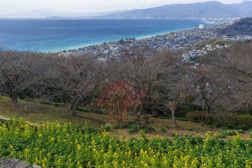 吾妻山から相模湾を望む