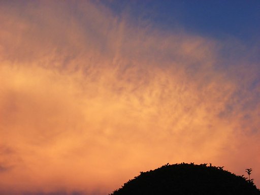 夕焼け