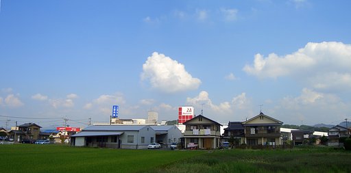 連続真夏日