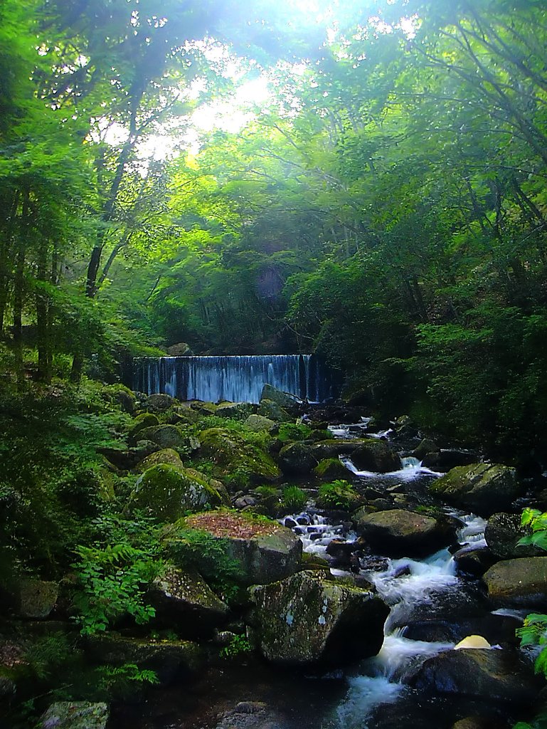 鳴滝！