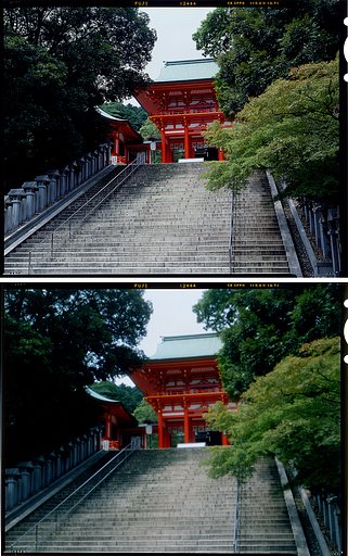 ピンホール