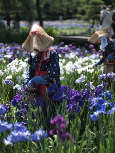 【花のある情景】 花もはじらう