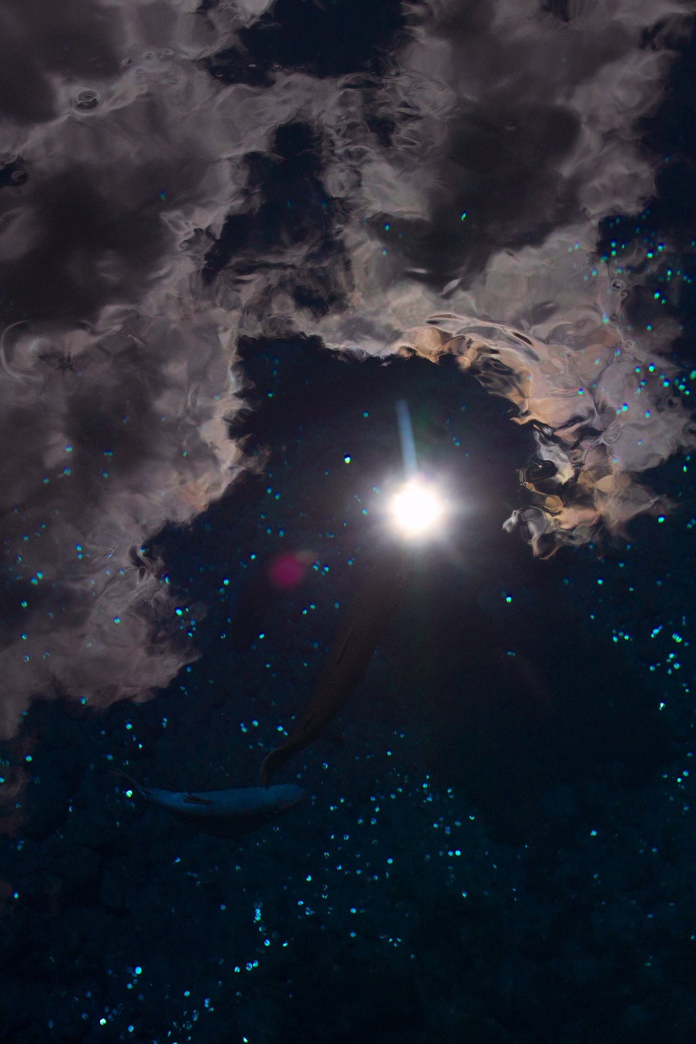 【写真しりとり】　この宇宙　→　「う」 9/08 20:35