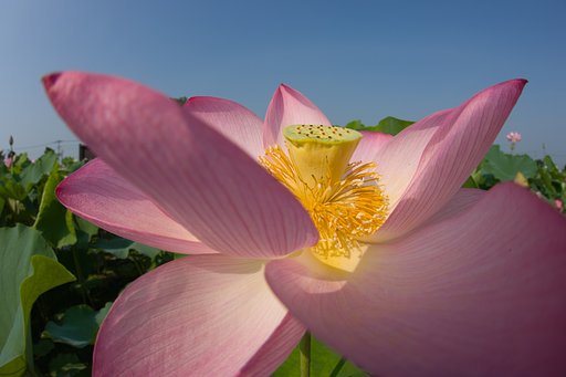 お遊び