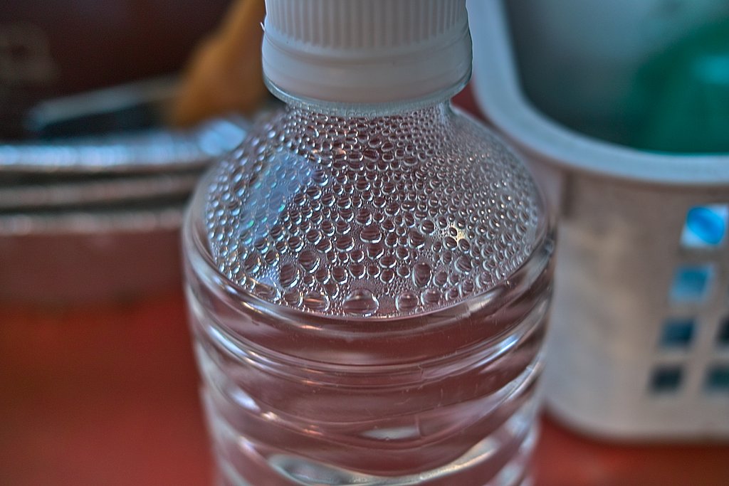 【写真しりとり】水　→　「ず」