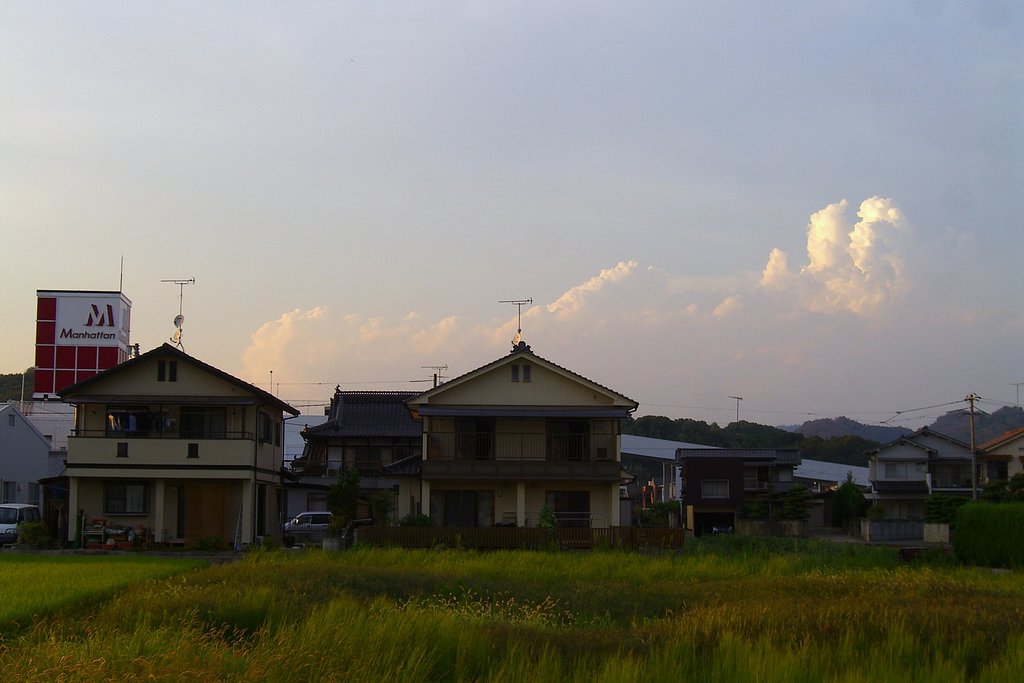 夏去らず