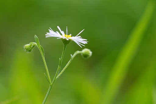 【燃】 いぇ〜い、燃えるぜ
