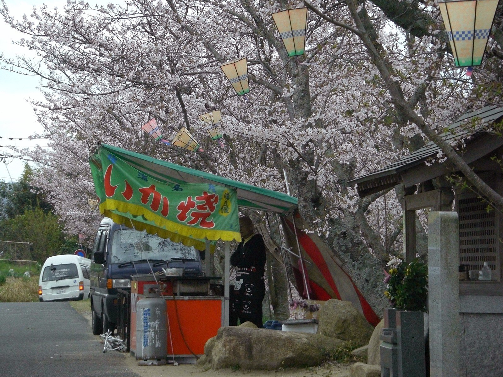 【花のある情景】暇や