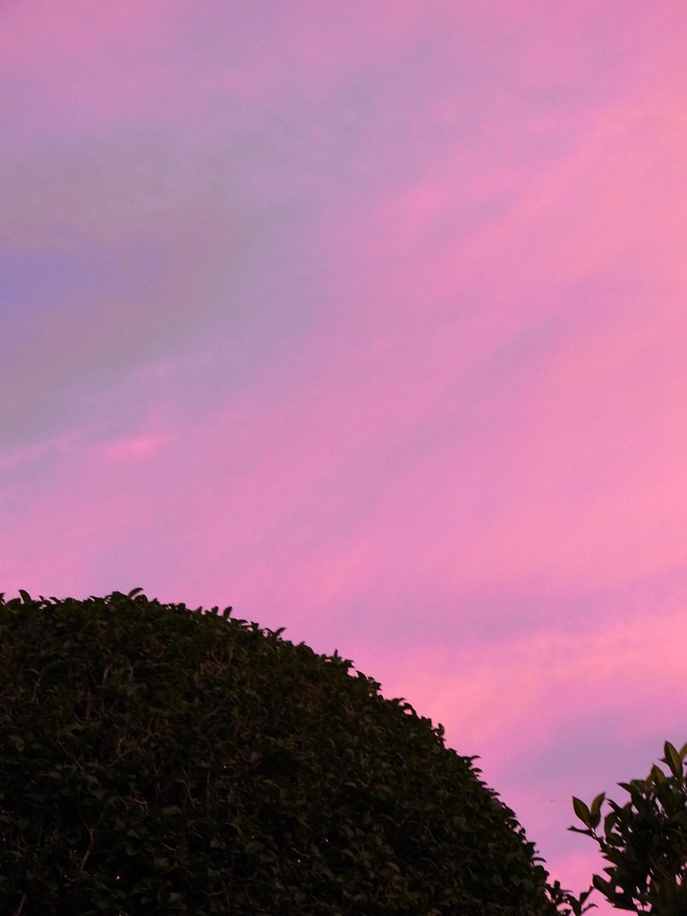 ピンクの夕焼け