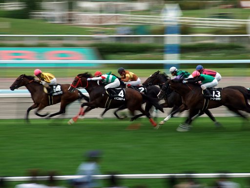 競馬場にて