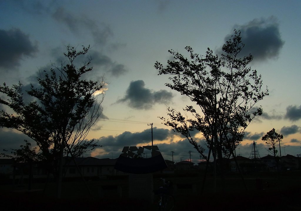 今日の夕景①