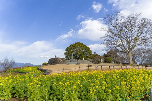 10年振りの二宮