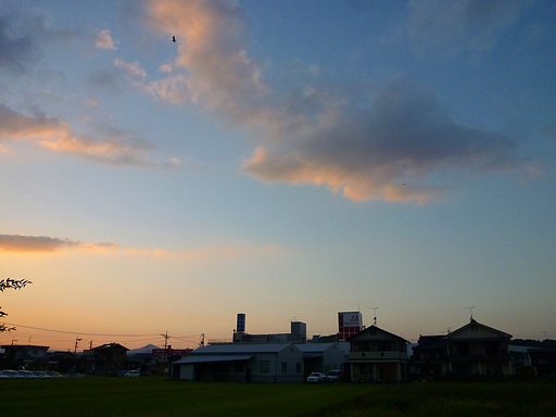 秋めく