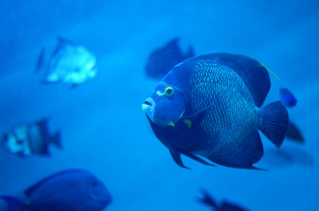 『水』水族館〜ラストの２