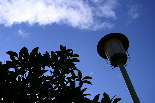 盛夏