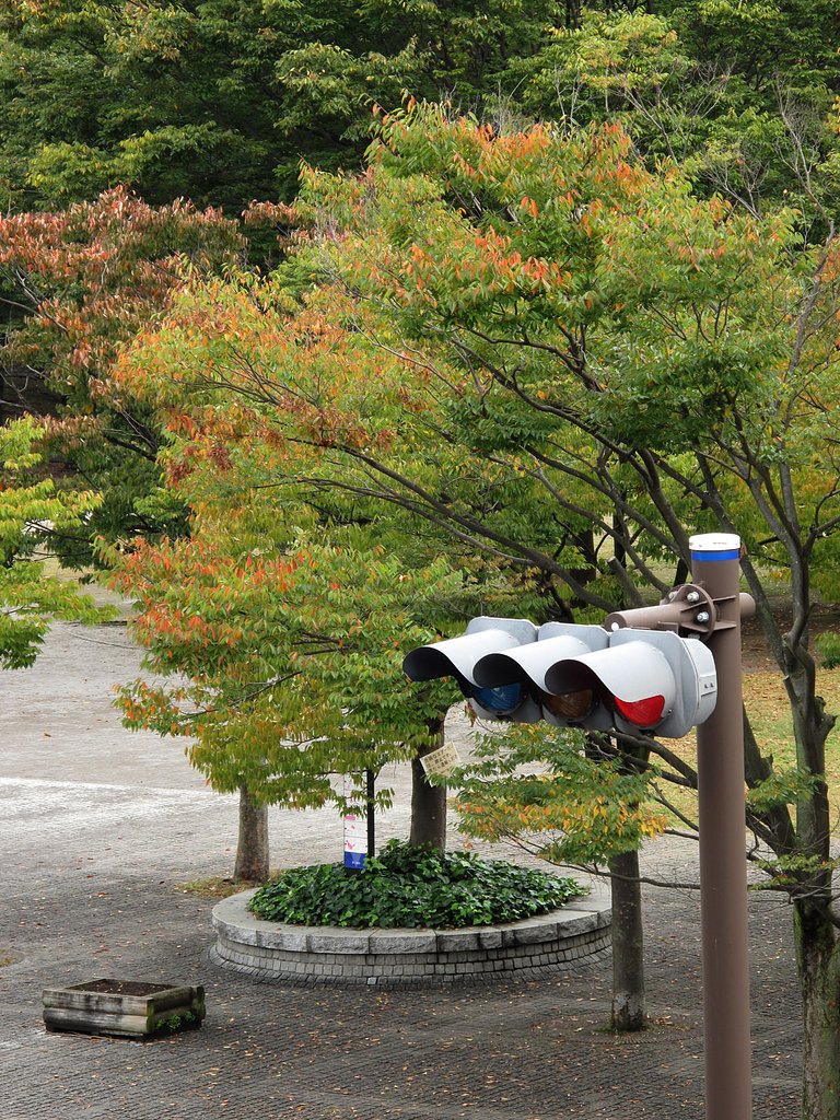 公園の秋