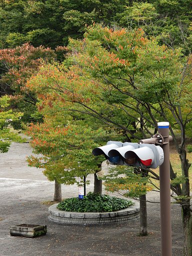 公園の秋