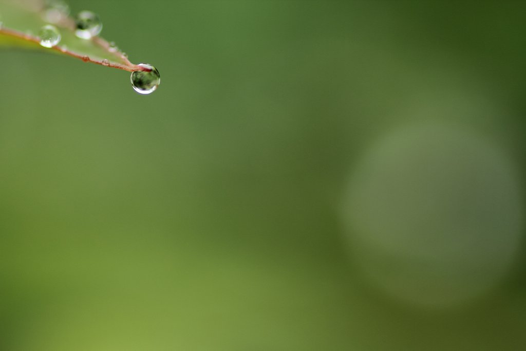 雨の日…