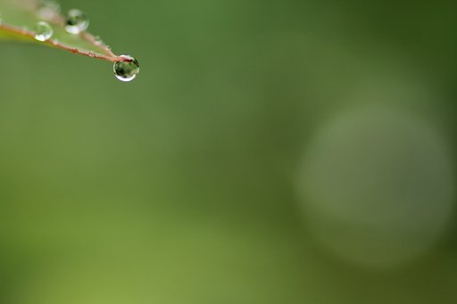 雨の日…