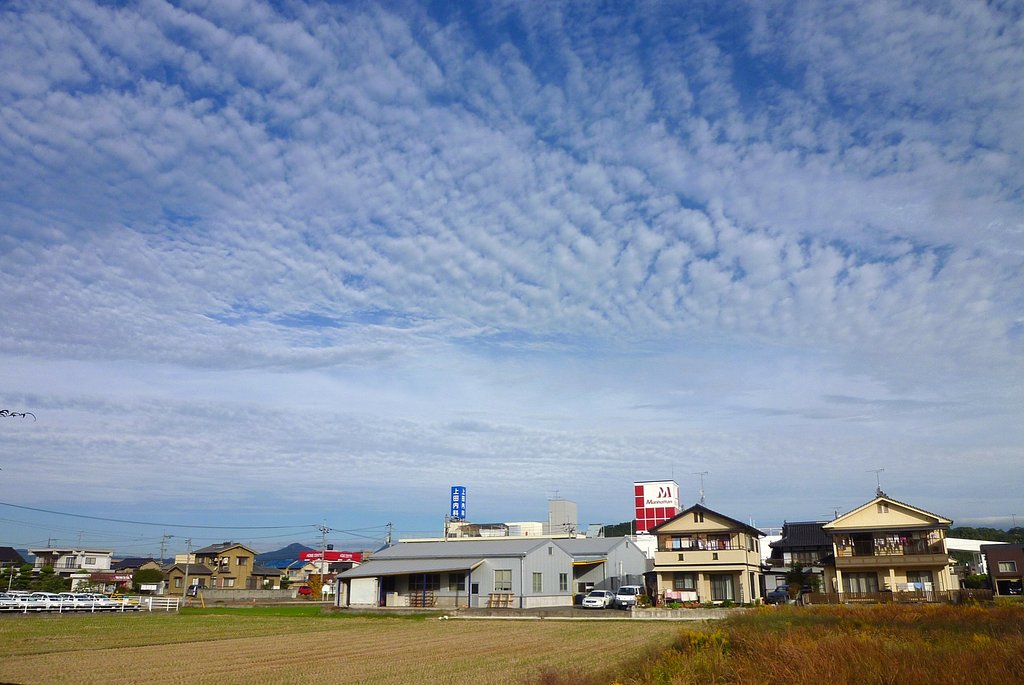 ひつじ雲