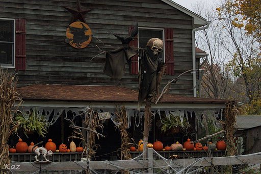 Happy Haloween !