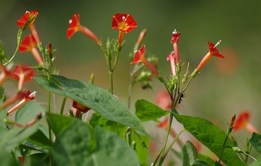 秋の草原に匍匐すれば