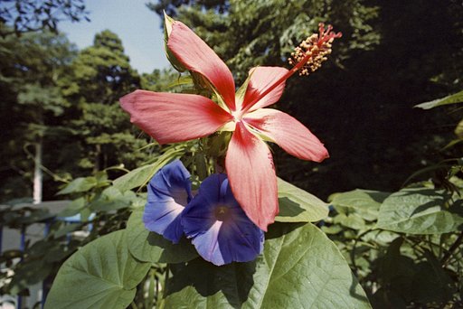 小さな公園で