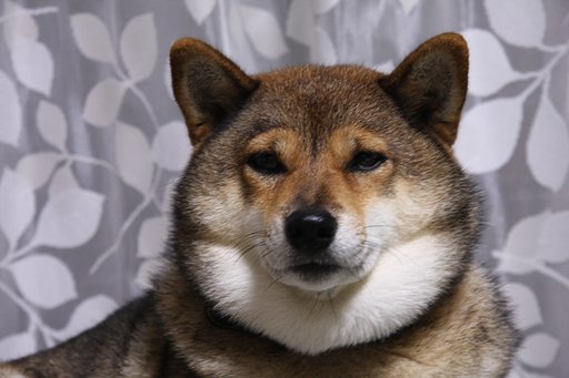 見合い写真？