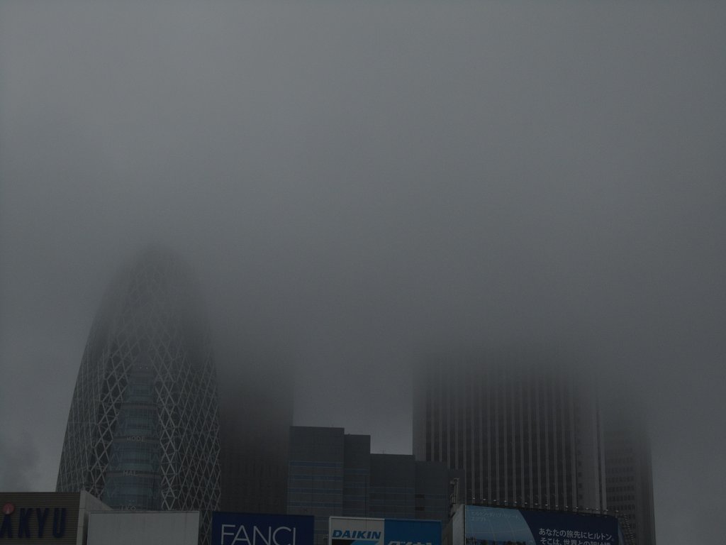 雨の高層ビル・・