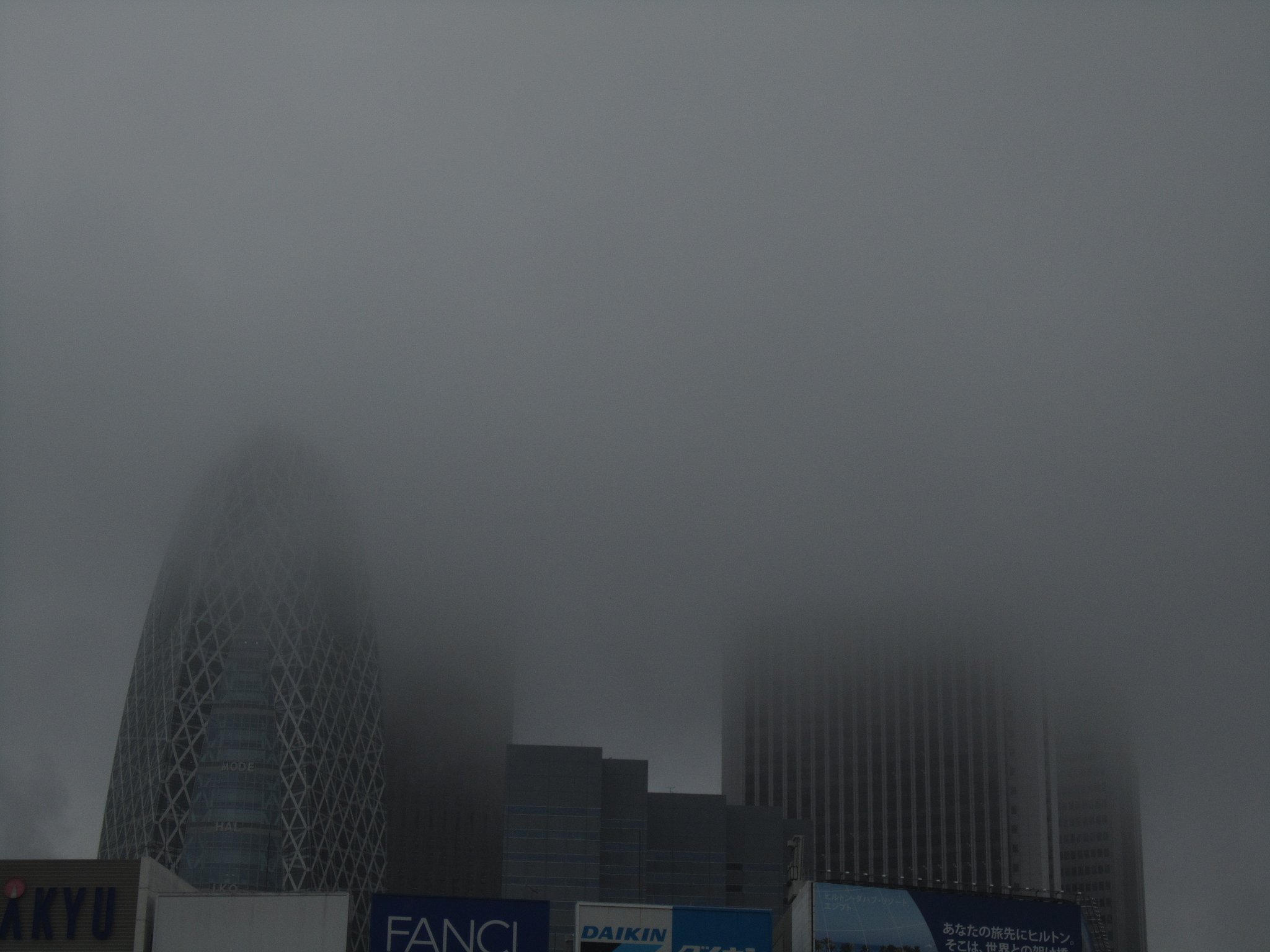 雨の高層ビル・・