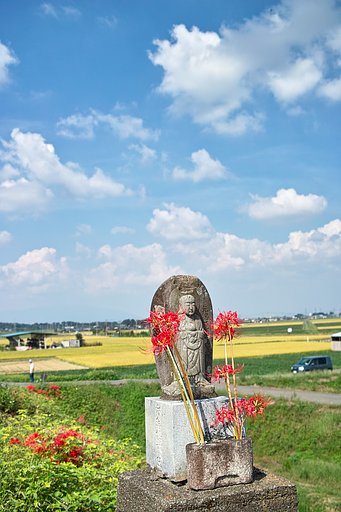 【写真しりとり】グットな一日でした　→　「た」