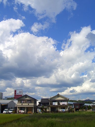 夏もまだ