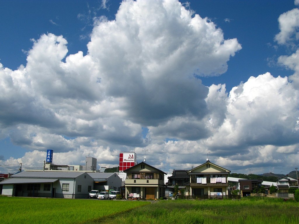 雨後は・・