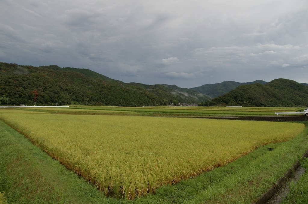 雷を伴う大雨が
