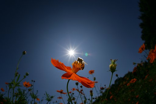空に抜く！！（FISHEYE練習編）