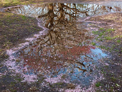 【花のある風景】 春彩絵具