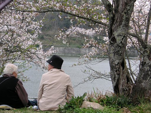【花のある情景】平和に