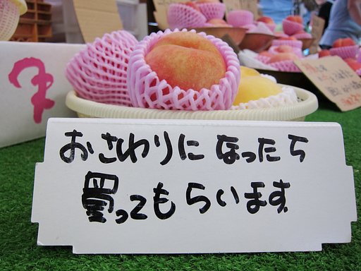 おさわりダメよ