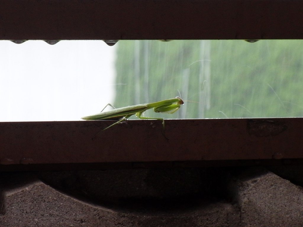 あ〜ぁ
