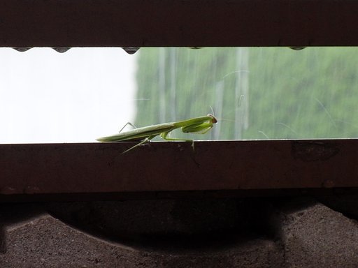 あ〜ぁ