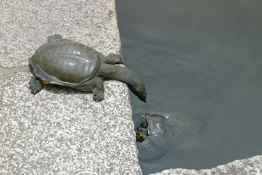 邪魔だよ。