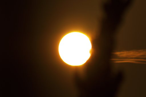【燃】太陽神