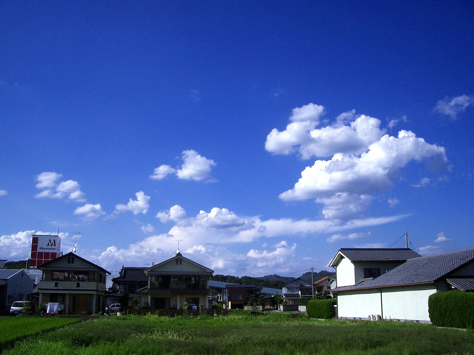 夏雲