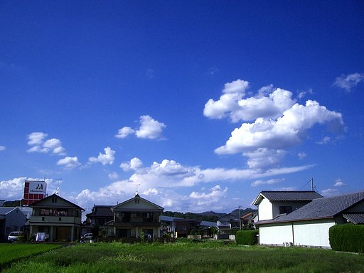 夏雲