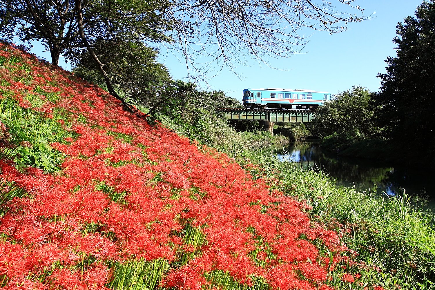 樽見鉄道