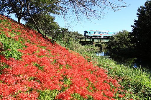 樽見鉄道