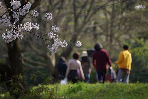 【花のある情景】 楽しかったネ…