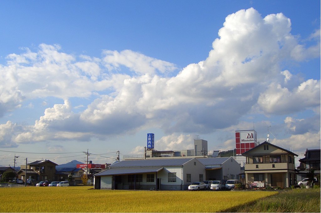 吼える雲
