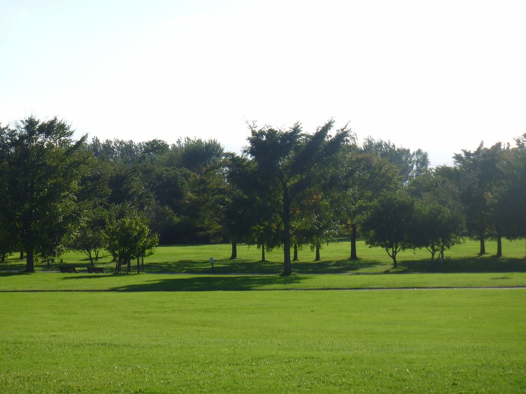 公園7